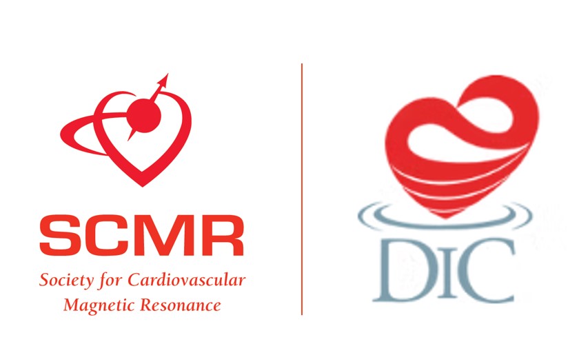 Pre conference: Level 1 Course endorssed by DIC and SCMR Photo