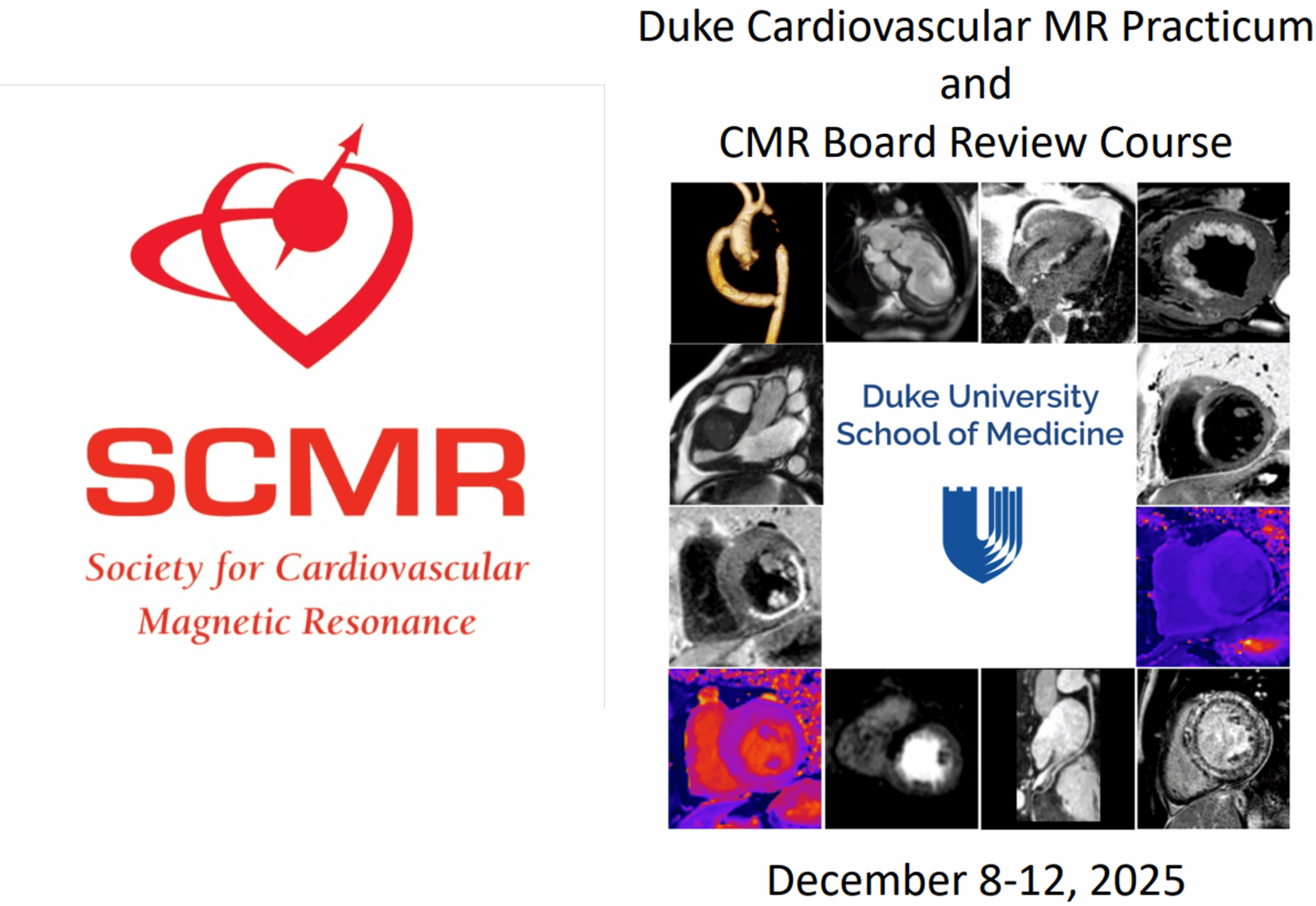 Duke Cardiovascular MR Practicum and CMR Board Review Course Photo